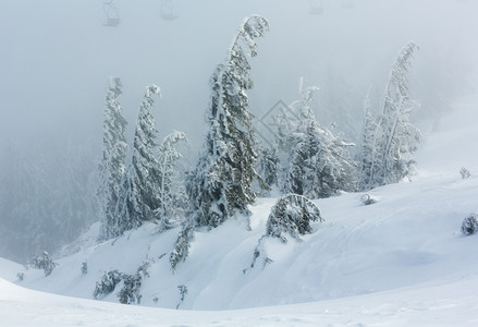 冬晨山上的冰雪树和雾中滑升起的椅子图片