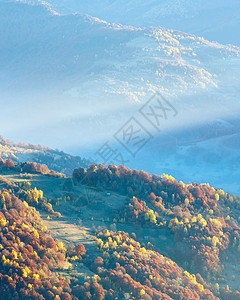 日光和秋天的薄雾清晨山景坡上有多彩的树木图片