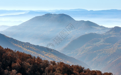 秋天的雾喀尔巴阡山和坡上的多彩森林图片