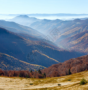 秋天的雾喀尔巴阡山和坡上的多彩森林图片
