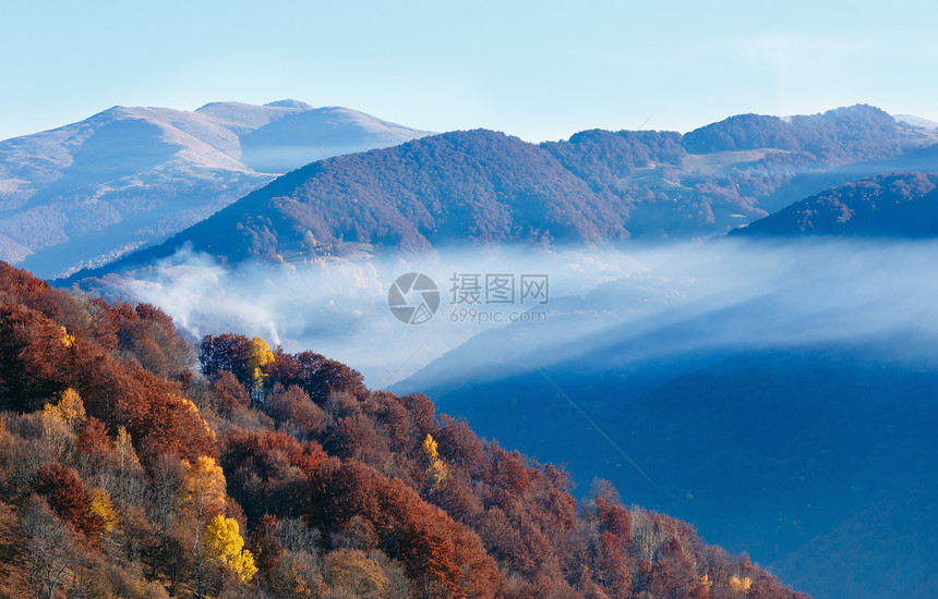 秋天的山坡和顶之间的云层上有着丰富多彩的森林图片