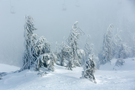 冬晨山上的冰雪树和雾中滑升起的椅子图片