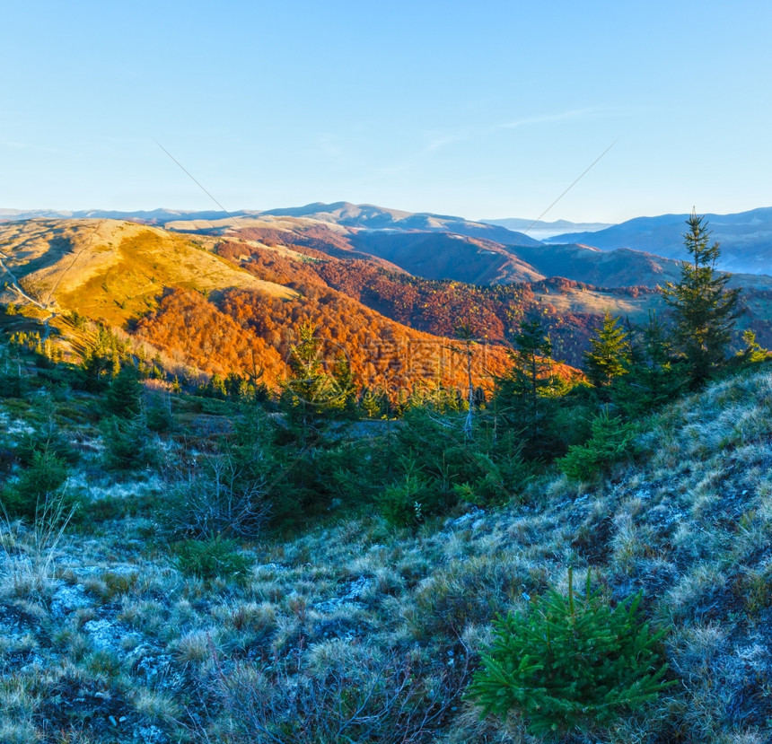 秋天喀尔巴阡山日出顶黎明风景图片