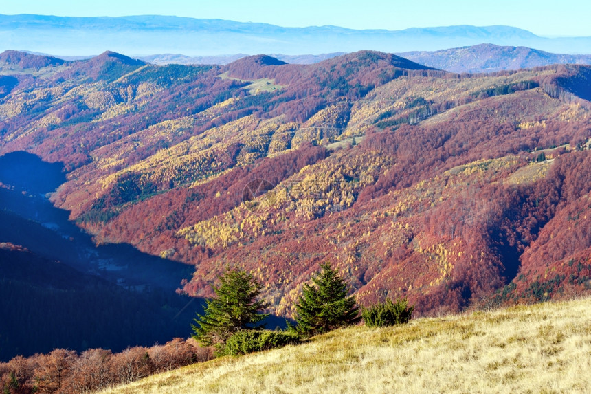 秋天喀尔巴阡山坡多姿彩图片