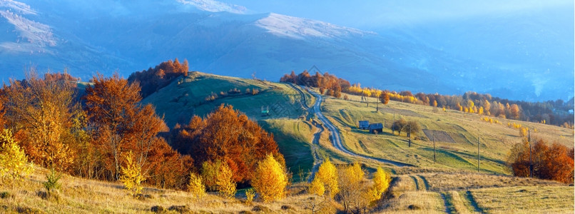 秋季山坡上道路和多彩的树木图片