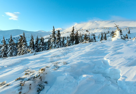 山坡前面下雪滑的Icyfir前面晨冬山地貌斜坡上有fir树喀尔巴阡山图片