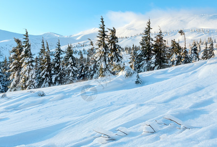 上午冬季山地景观坡上有云和木林喀尔巴阡山图片