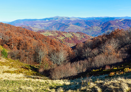 秋天喀尔巴阡山脉地貌多姿彩的山坡图片