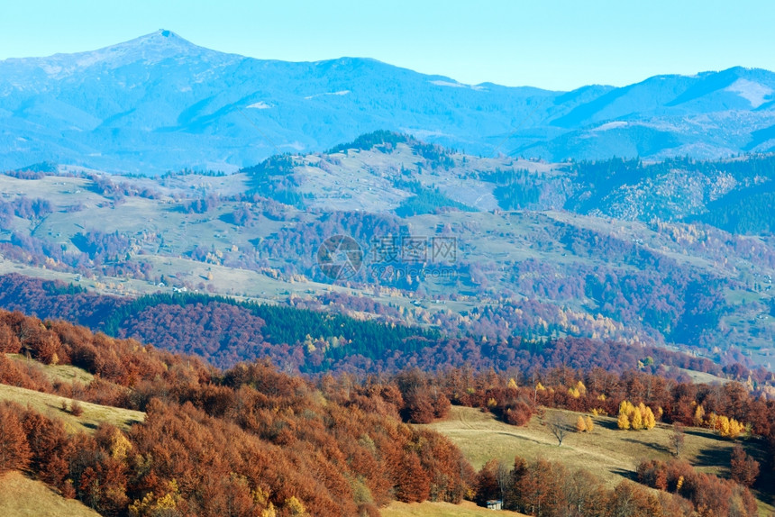 在山坡上树多彩的秋色山岳风景图片