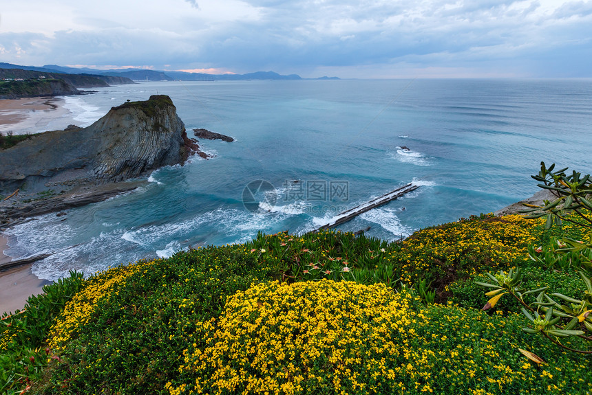 春季夕阳海边岩石景观前面有小沙滩和黄色花朵阿尼亚海滩西班牙大洋图片