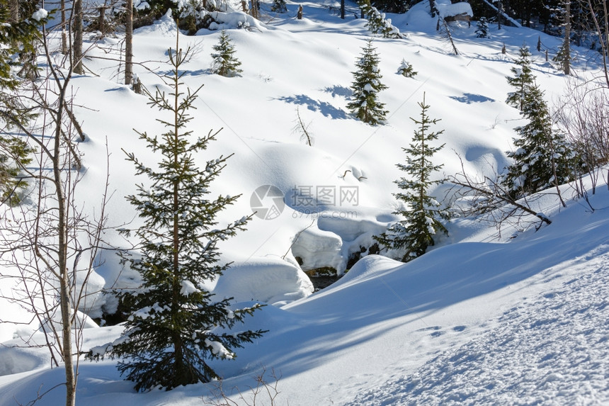 冬雪山丘上长着小毛树溪流在雪地下图片