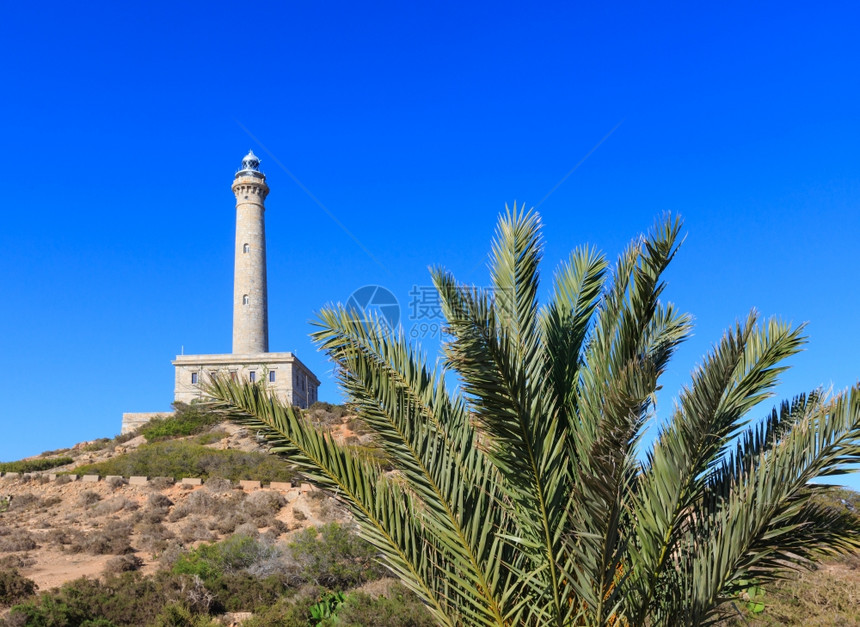 CabodePalos灯塔夏季景色和前面的棕榈树CartagenaMurcia西班牙图片