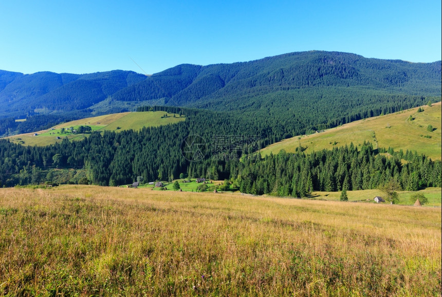 山区村坡上森林的夏季景观喀尔巴阡山乌克兰最高霍夫纳区伊万诺弗兰基夫斯克地区图片