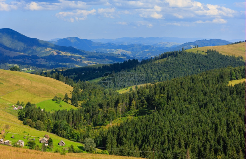 山区村坡上森林的夏季景观喀尔巴阡山乌克兰最高霍夫纳区伊万诺弗兰基夫斯克地区图片