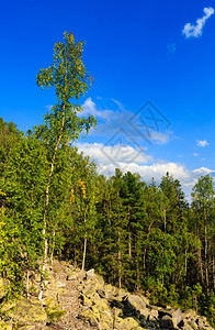 喀尔巴阡山夏季风景有天空和积云森林滑石伊赫罗夫茨乌克兰图片