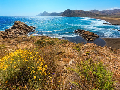 夏季沙滩和前面的黄花地中海岸景观波特曼湾科斯塔布兰卡西班牙图片