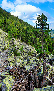喀尔巴阡山夏季风景有天空和积云森林滑石图片
