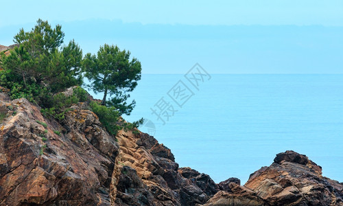 西班牙科斯塔布拉瓦的帕莫斯附近沿海夏季早晨风景图片