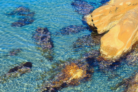 清澈的海水中石块零度海岸图片