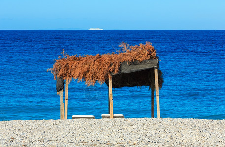 夏晨海滩有日晒床树冠和白石块阿尔巴尼亚图片