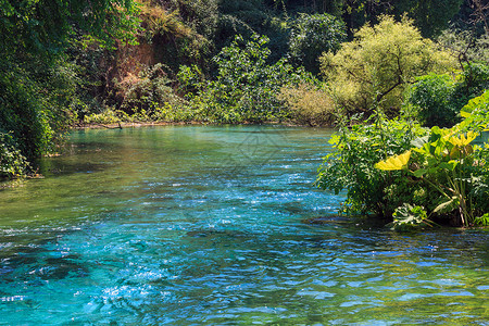 蓝眼泉水有清晰的蓝色夏季水景靠近阿尔巴尼亚Vlore县的Muzine背景图片