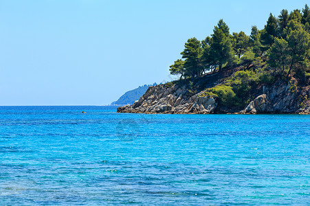 夏季爱琴海岸风景与松树迦勒基迪希腊高清图片