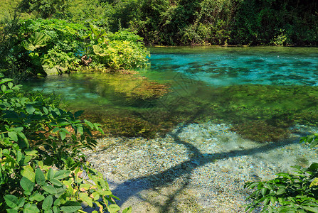 蓝眼泉水有清晰的夏季水景靠近阿尔巴尼亚Vlore县的Muzine背景图片