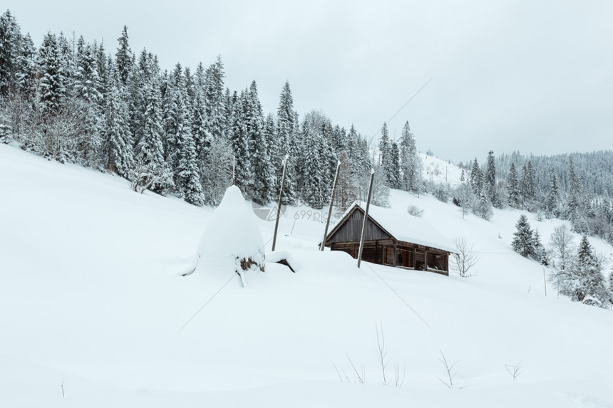 乌克兰喀尔巴阡山脉坡上的雪地下图片
