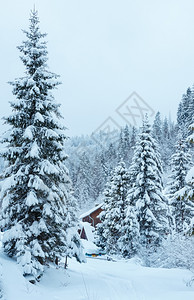 冬季森林乌克兰喀尔巴阡山屋顶上有雪的木和多彩蜂蜜图片
