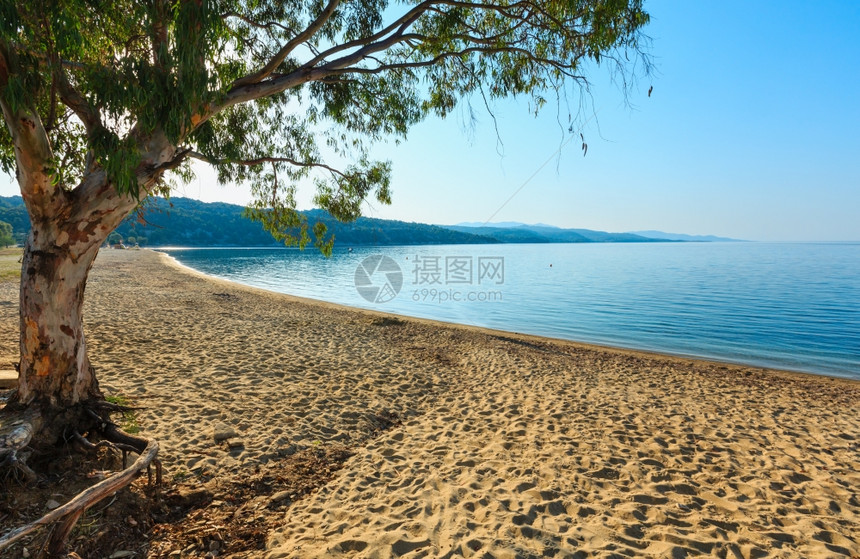 早晨桑迪卡斯特里海滩夏季景观尼基蒂锡顿尼亚哈尔基迪基希腊图片