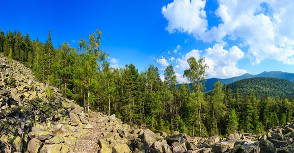 喀尔巴阡山夏季风景有天空和积云森林滑石Gorgani乌克兰图片
