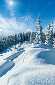 冬季雪上的漂覆盖了山边顶上有木头树蓝阳光的天空图片