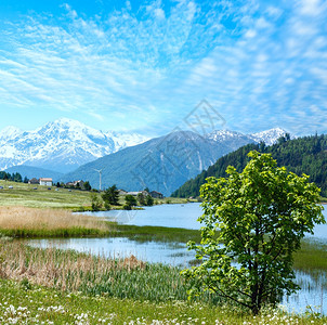 与雷西亚湖LagodiResia湖的夏季山地景观意大利图片