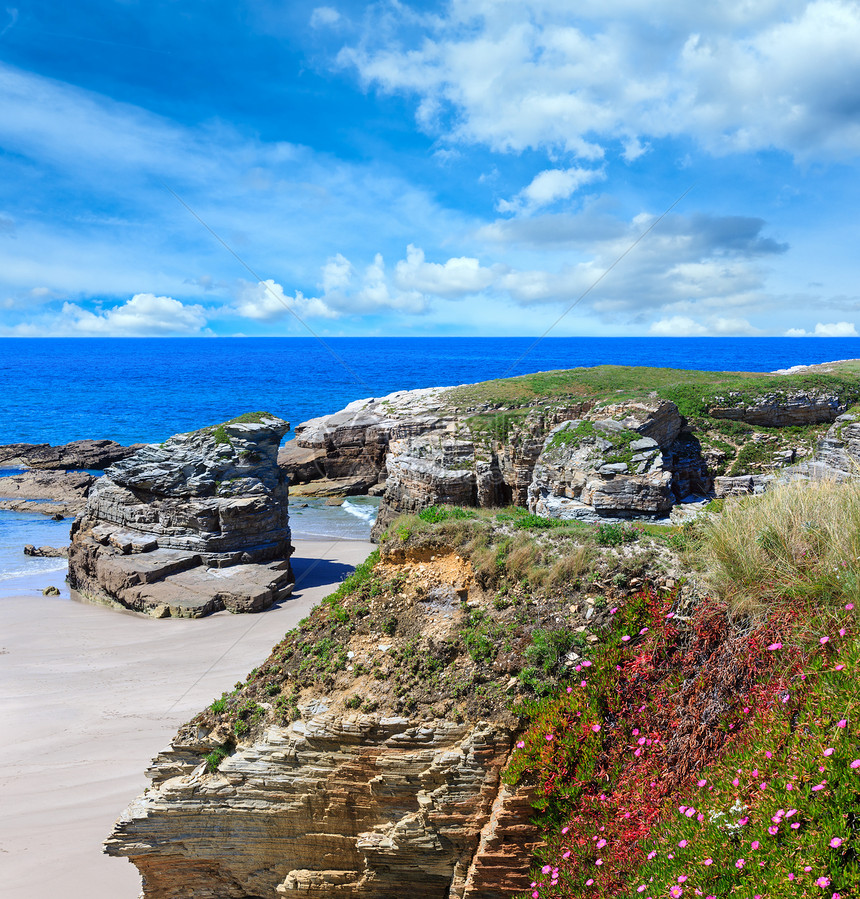 夏季开花的大西洋海滩伊利亚斯西班牙加利亚前面有白色沙子和粉红花朵蓝天有云图片
