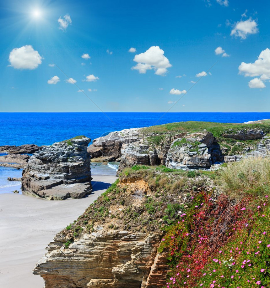 夏季开花的大西洋海滩伊利亚斯加西班牙前面有白色沙子和粉红花朵深蓝天空有积云和阳光图片