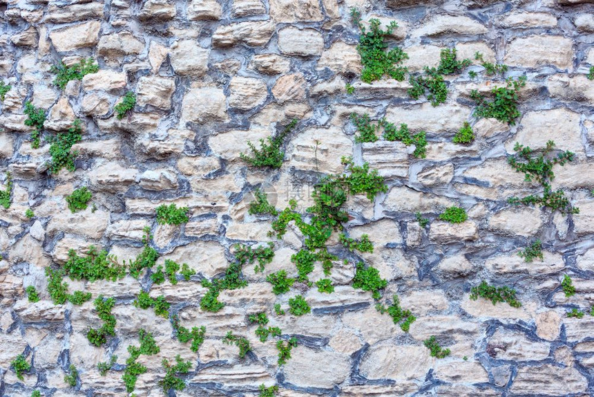 旧石墙碎裂有植物建筑背景图案图片