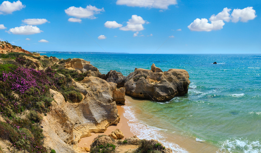 以紫花和狭窄沙滩阿尔布费拉郊区葡萄牙阿尔加夫为一面的紫色花朵和狭窄沙滩葡萄牙阿尔加夫Albufeira郊区图片