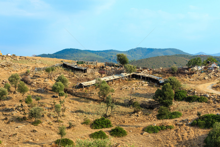 Sithonia和农村希腊哈基迪的清晨图片