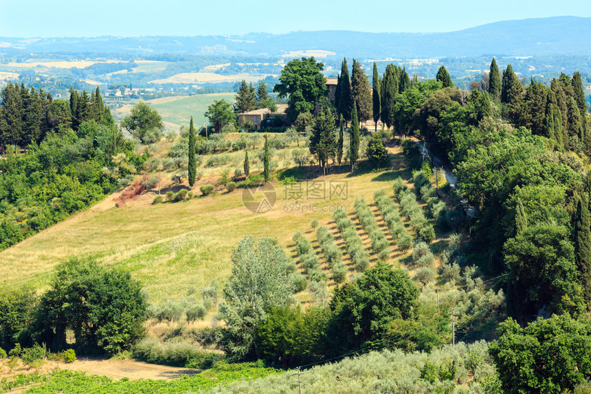 意大利地区托斯卡纳农场山丘小麦田橄榄园葡萄铁丝网通行证等典型情况图片