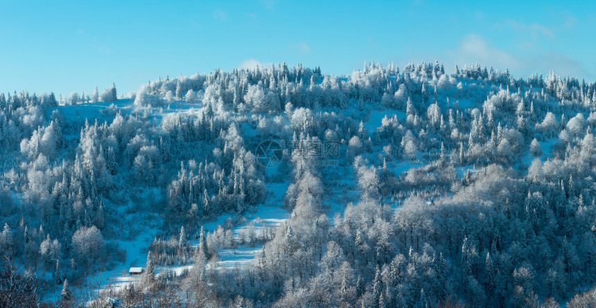 冬季喀尔巴阡山风景,坡上有森林和孤屋(斯科莱、利沃夫州乌克兰),两缝合高分辨率全景。图片
