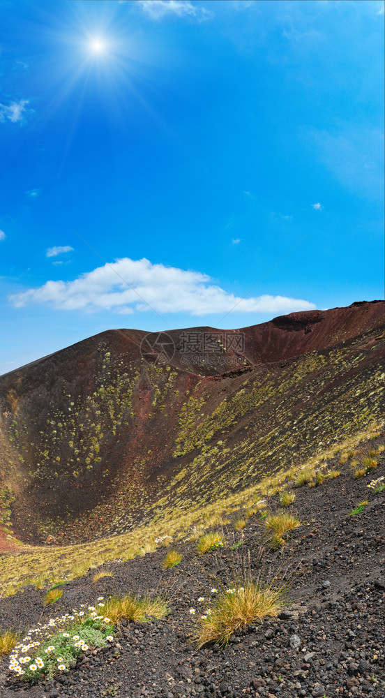 夏日阳光下Etna火山洞的花朵和植物意大利西里四针缝合图象图片