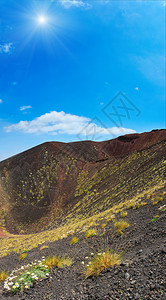 夏日阳光下Etna火山洞的花朵和植物意大利西里四针缝合图象图片