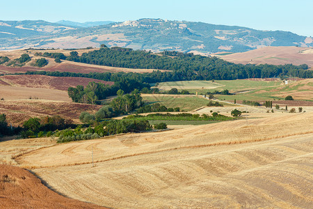 倾斜度意大利夏季乡村美丽的景色背景