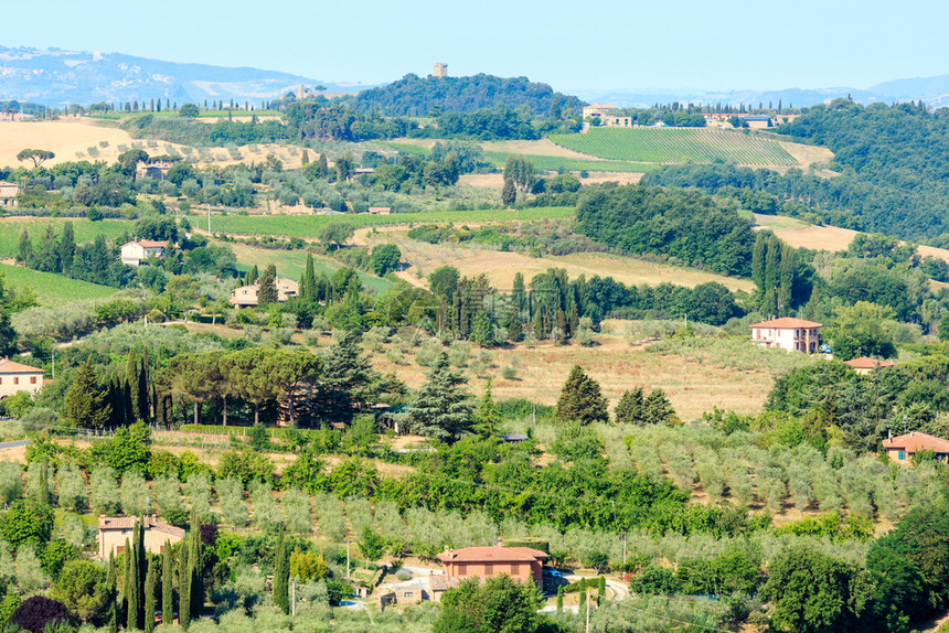 托斯卡纳夏季清晨美丽的景色位于皮恩扎城墙的乡村典型意大利地区托斯卡纳山小麦田橄榄园葡萄和铁丝网通行证图片