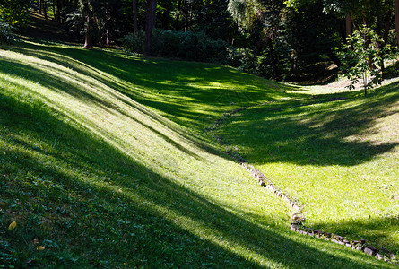 草坪上完美的绿被设计为夏日公园空洞图片