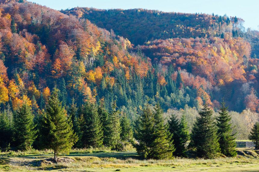 秋天喀尔巴阡山脉景观乌克兰伊瓦诺弗基夫斯克州图片
