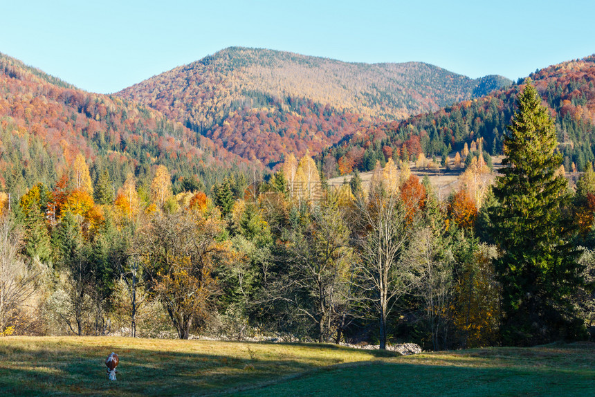 秋天喀尔巴阡山脉景观乌克兰伊瓦诺弗基夫斯克州农村景象图片