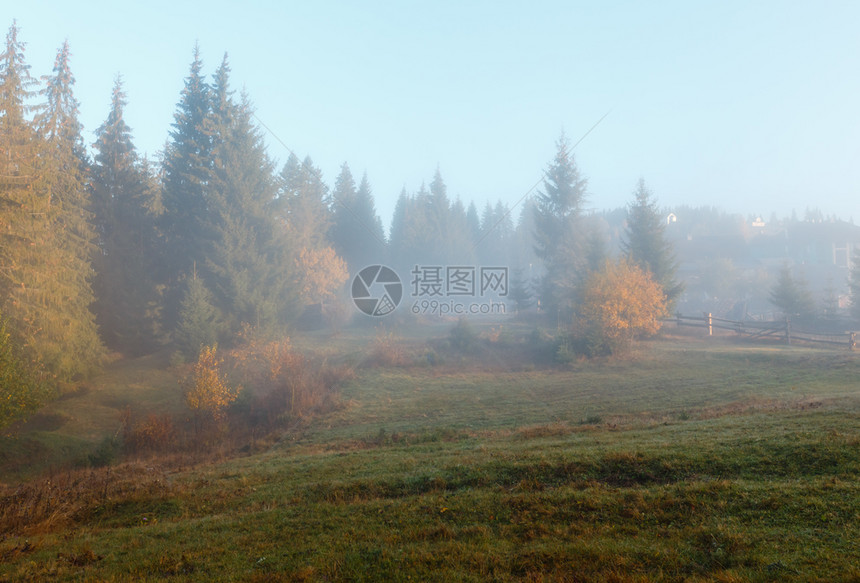 上午雾秋季风景喀尔巴阡山乌克兰图片