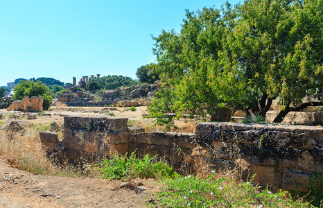 教科文组织网站在意大利西里Agrigento的圣殿谷著名古老废墟教科文组织世界遗产地背景