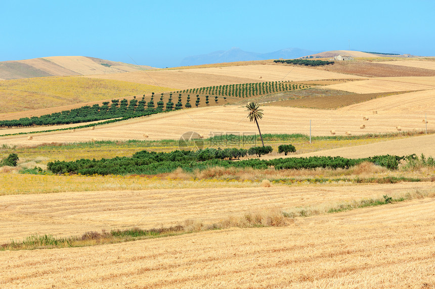 意大利西里夏季乡村美丽的景色图片